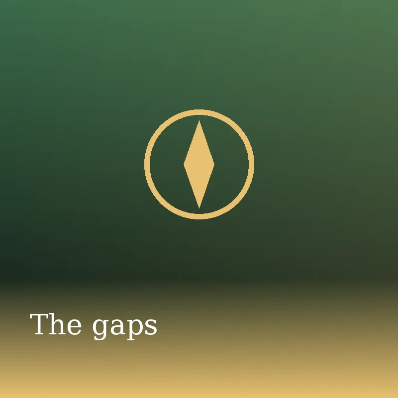 The gaps: Vegan But Still Tired